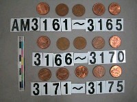 藏品(美國1分硬幣)的圖片